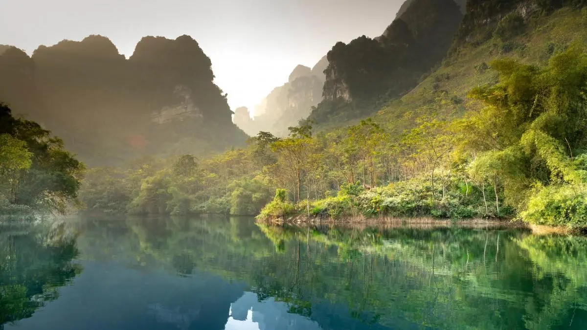 高端全自动高效